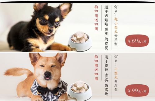 宠物食品的另一种可能 超能小黑如何用订阅制新鲜主粮改变宠物犬的餐桌