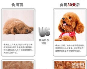 “宠爱到家” 宠物用品市区免费送货上门的意外收获